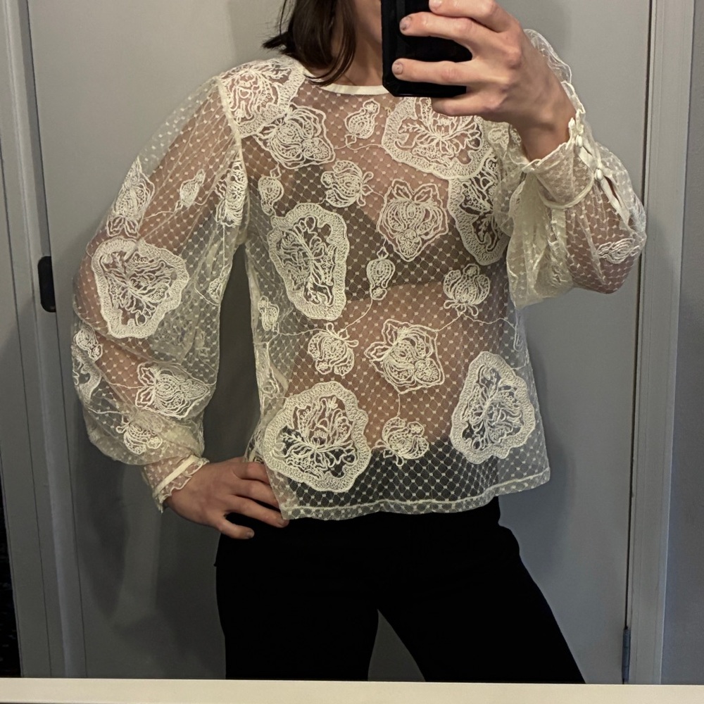 Vintage Y2K Express Romantic Sheer Lace Embroidered Long Puff Sleeve Blouse